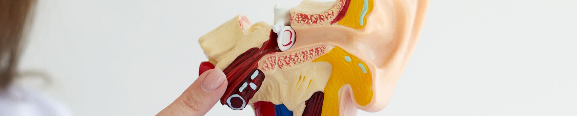 Tinnitus (Kulak Çınlaması)